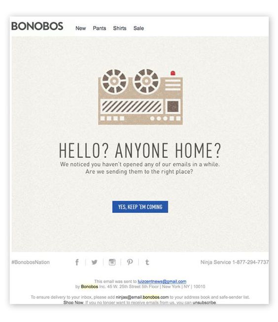 anybody-home-bonobos-email