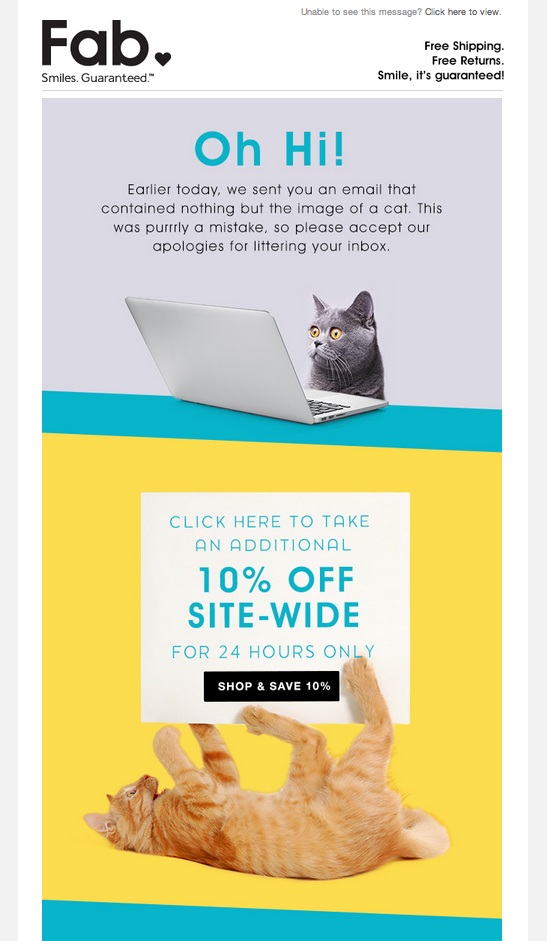 fab---oops-cat-email