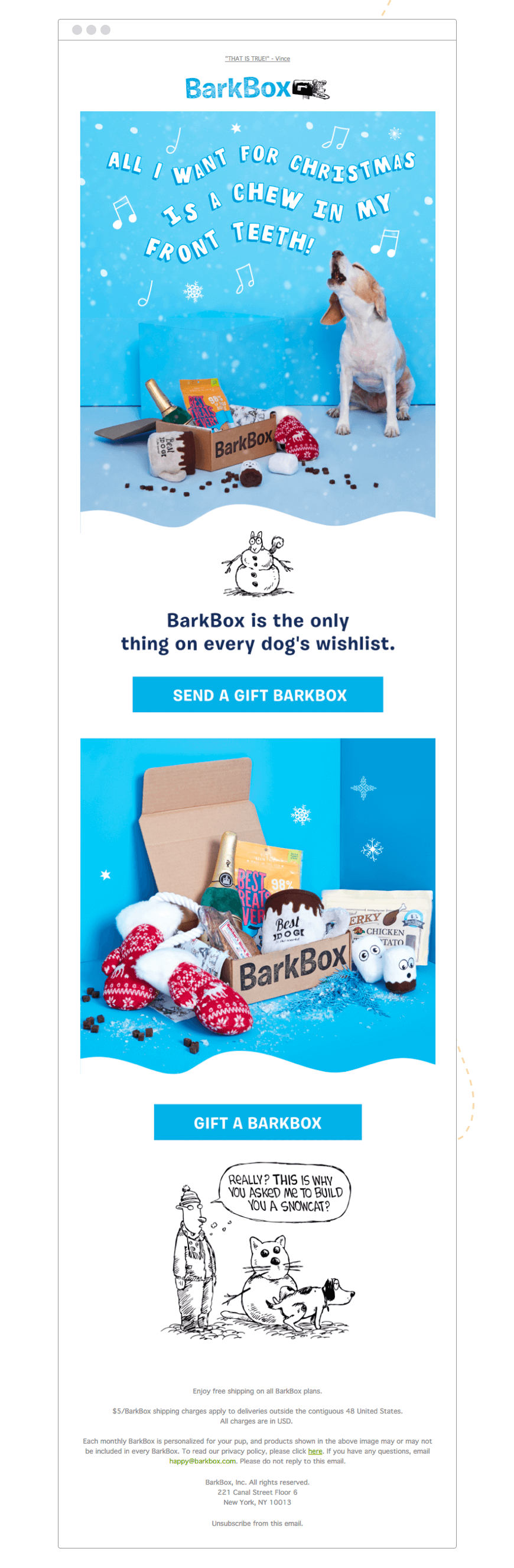 Barkbox_Holiday_Email_Template